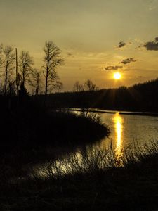 Превью обои река, деревья, ветки, закат, природа