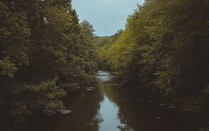 Превью обои река, деревья, вода, природа, пейзаж