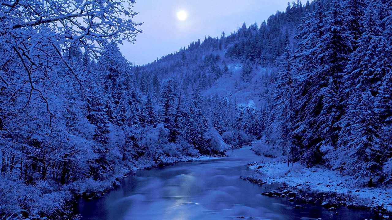 Обои река, деревья, зима, иней, берега, луна, небо