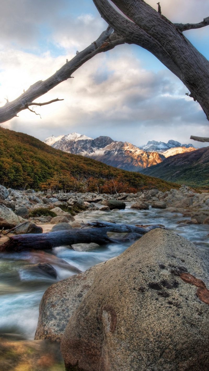 Mountain branch. Каменная река. Горная река картинки. Горы реки деревья камни. Гора из веток.