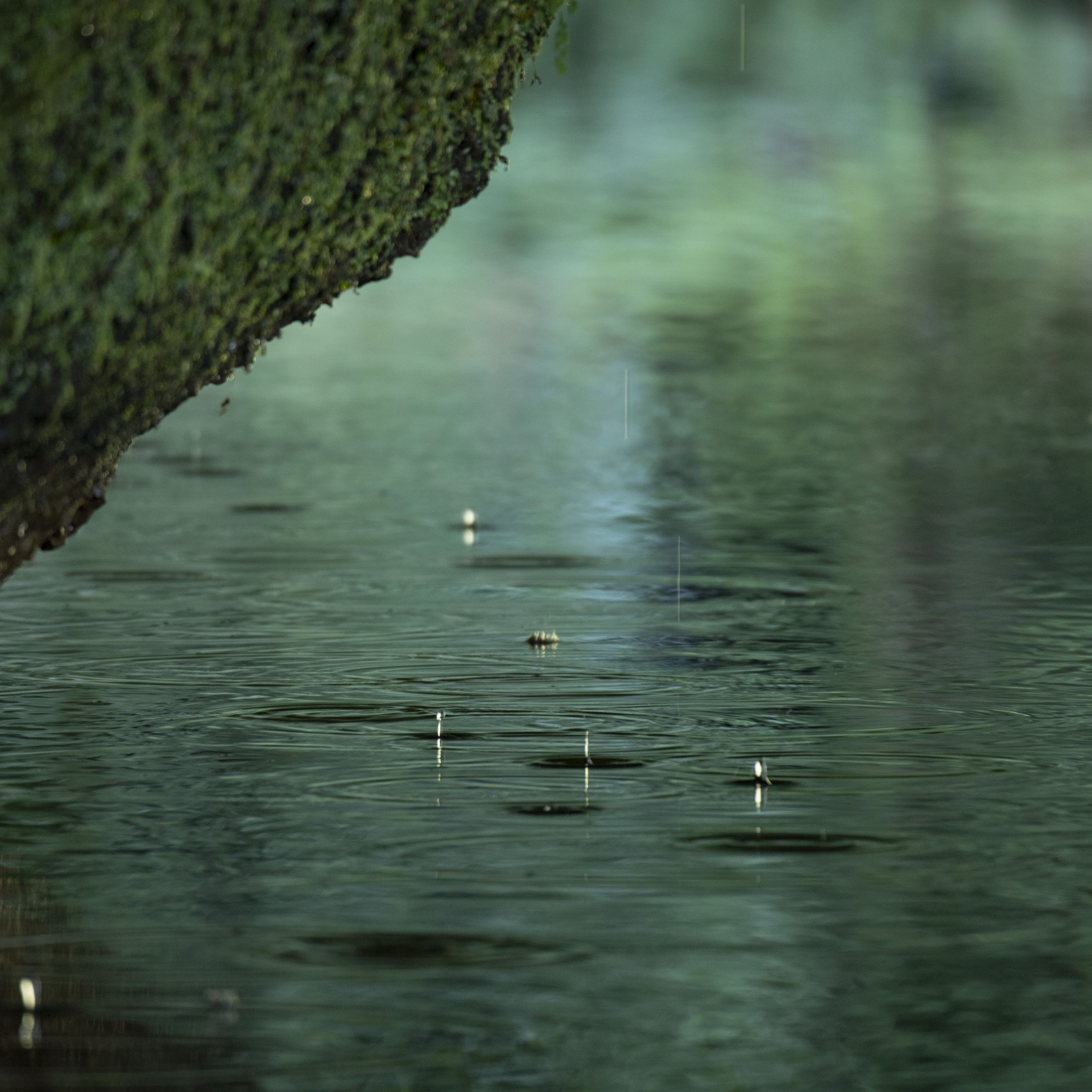 Дождь на реке. Дождь под водой. Миллион назад дождь река океан. Япония под дождём обои 4k.