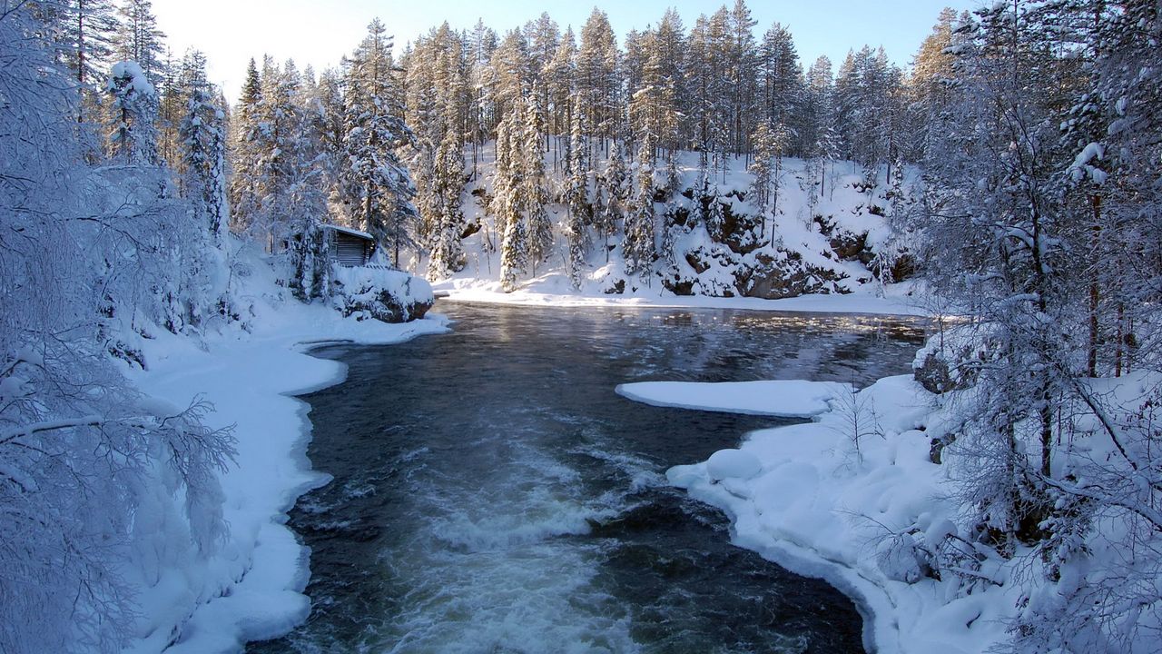 Обои река, финляндия, лед, снег, деревья, иней, поток