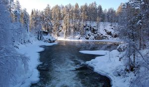 Превью обои река, финляндия, лед, снег, деревья, иней, поток