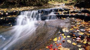 Превью обои река, горная, вода, поток, листья, осень