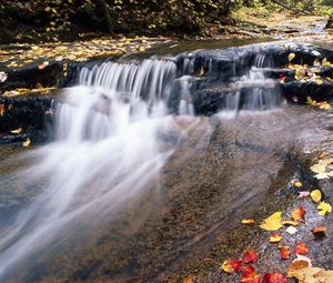 Превью обои река, горная, вода, поток, листья, осень
