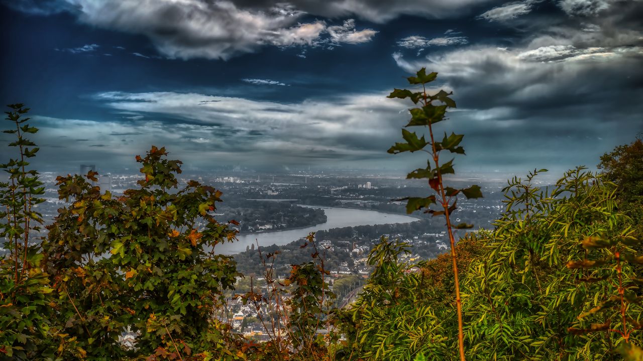 Обои река, город, деревья, листья