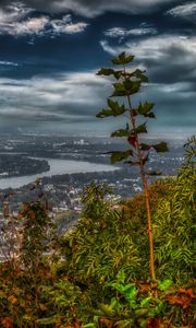 Превью обои река, город, деревья, листья