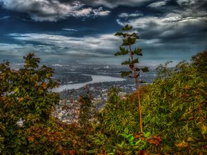 Превью обои река, город, деревья, листья