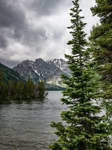 Превью обои река, горы, деревья, сосны, пейзаж