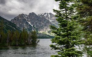 Превью обои река, горы, деревья, сосны, пейзаж