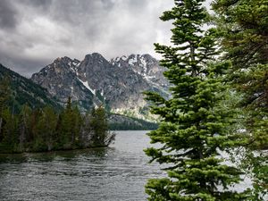 Превью обои река, горы, деревья, сосны, пейзаж