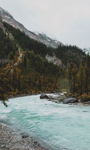 Превью обои река, горы, камни, склон, деревья, лес