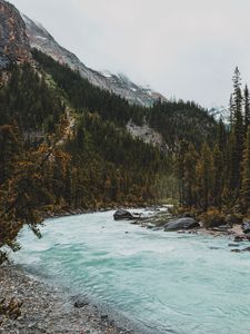 Превью обои река, горы, камни, склон, деревья, лес