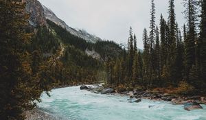 Превью обои река, горы, камни, склон, деревья, лес