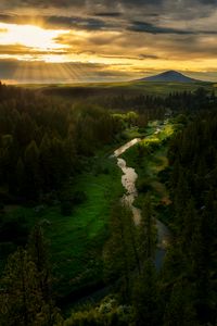 Превью обои река, горы, лес, деревья, солнце, лучи