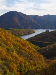 Превью обои река, горы, лес, деревья, осень, пейзаж
