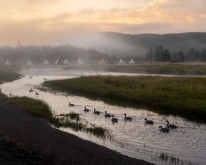 Превью обои река, гуси, луг, палатки, туман