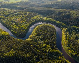 Превью обои река, извилистый, лес, деревья