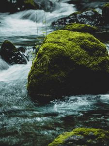 Превью обои река, камень, мох, вода, поток