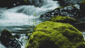 Превью обои река, камень, мох, вода, поток