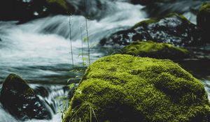 Превью обои река, камень, мох, вода, поток