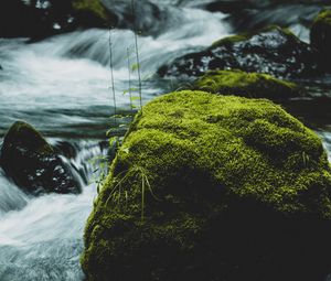 Превью обои река, камень, мох, вода, поток