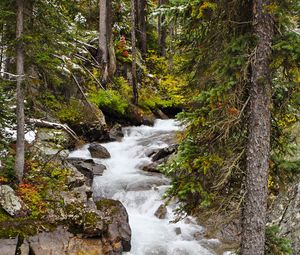 Превью обои река, камень, вода, деревья