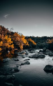 Превью обои река, камни, деревья, вода, поток