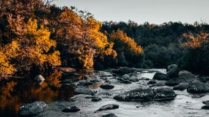 Превью обои река, камни, деревья, вода, поток