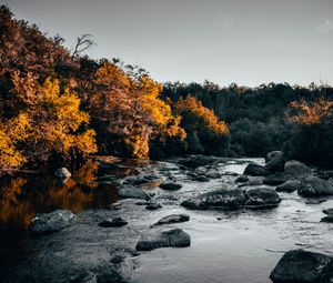 Превью обои река, камни, деревья, вода, поток