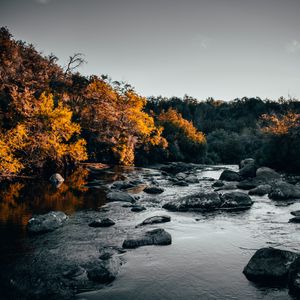 Превью обои река, камни, деревья, вода, поток