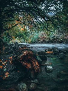Превью обои река, камни, деревья, берег, вода, пейзаж