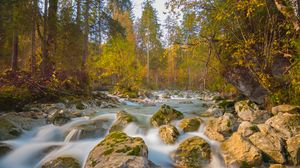 Превью обои река, камни, деревья, ветки, поток