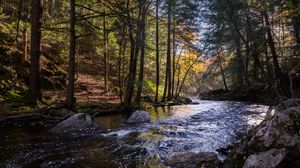 Превью обои река, камни, деревья, природа, пейзаж