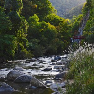 Превью обои река, камни, деревья, природа