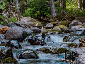 Превью обои река, камни, каскад, деревья, природа