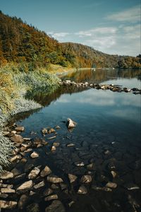 Превью обои река, камни, лес, природа, пейзаж