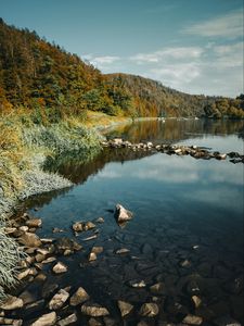 Превью обои река, камни, лес, природа, пейзаж