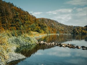 Превью обои река, камни, лес, природа, пейзаж