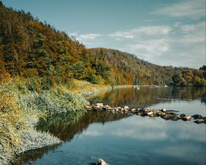 Превью обои река, камни, лес, природа, пейзаж