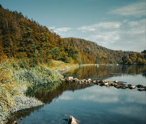 Превью обои река, камни, лес, природа, пейзаж