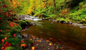 Превью обои река, камни, листья, осень