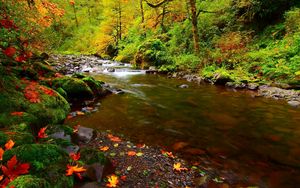 Превью обои река, камни, листья, осень