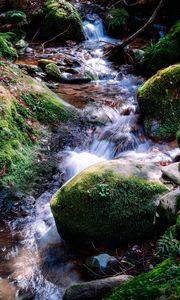 Превью обои река, камни, мох, трава, природа