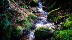 Превью обои река, камни, мох, трава, природа