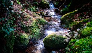 Превью обои река, камни, мох, трава, природа