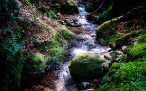 Превью обои река, камни, мох, трава, природа