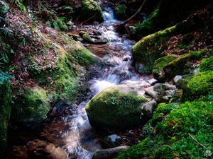 Превью обои река, камни, мох, трава, природа