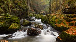 Превью обои река, камни, мох, поток, деревья