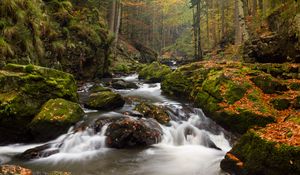 Превью обои река, камни, мох, поток, деревья
